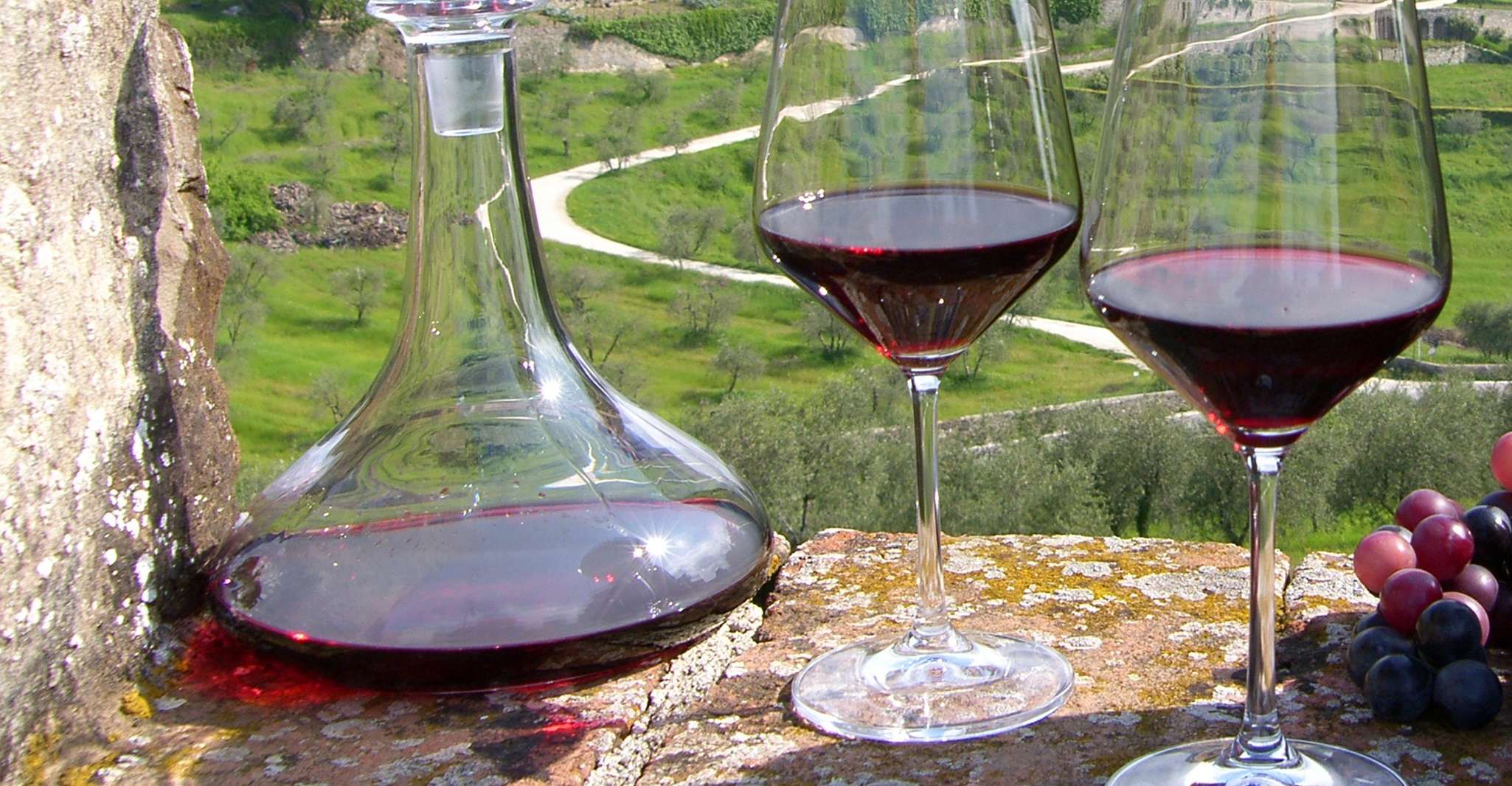 From Florence: Horse Ride and Wine Tour at Estate with Lunch photo 3