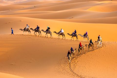ドゥーズ：2日 サハラ砂漠 ラクダ トレッキング