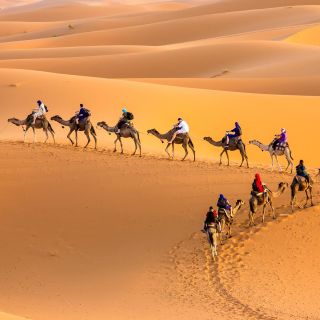 Douz 2-Day Sahara Desert Camel Trek