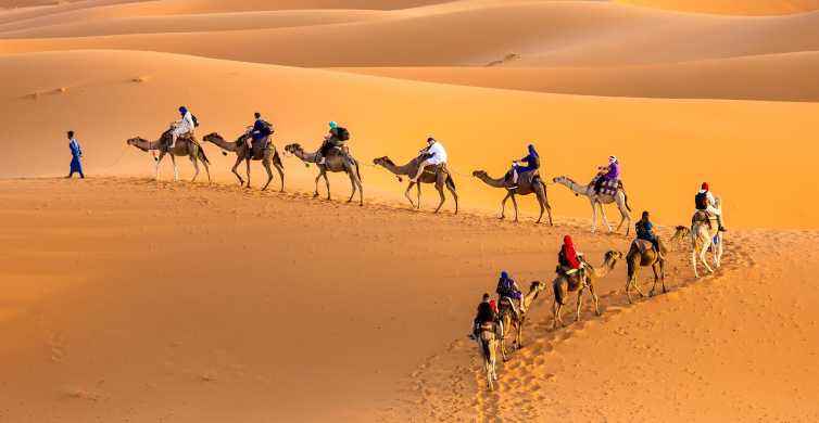 Douz 2 Day Sahara Desert Camel Trek GetYourGuide