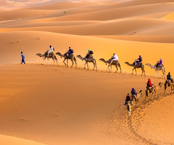 Douz - Randonnée chamelière de 2 jours dans le désert du Sahara