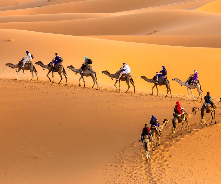 Douz 2-Day Sahara Desert Camel Trek