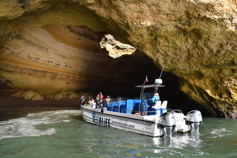 Ab Lagos: Benagil-Höhle und Küstenrundfahrt mit dem Katamaran