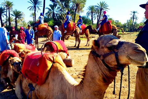 Marrakech : demi-journée avec buggy, tour en chameau et spa