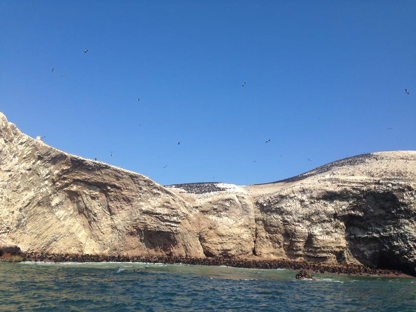 From Lima Ballestas Nazca Lines Huacachina Oasis Getyourguide