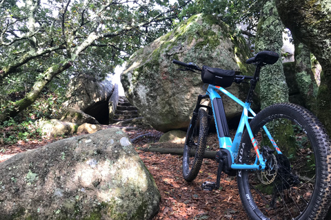 Z Lizbony: Sintra Bike Tour z lunchem i 2 atrakcjami