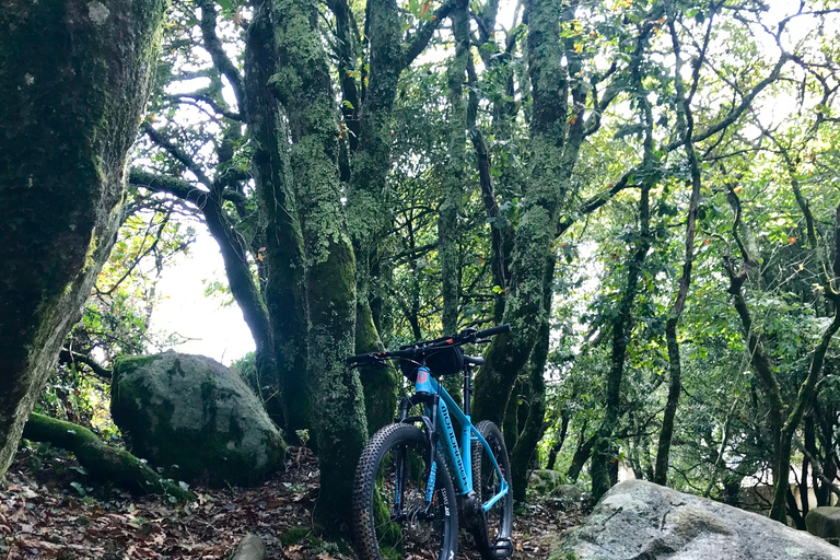 Z Lizbony: Sintra Bike Tour z lunchem i 2 atrakcjami