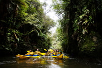 Lake Karapiro, Evening Kayak Glowworm Tour - Housity