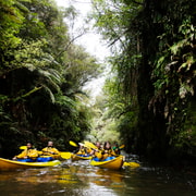 Lake Karapiro: Evening Kayak Glowworm Tour
