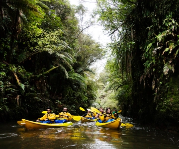 Lake Karapiro: Evening Kayak Glowworm Tour