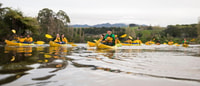 Lake Karapiro, avondkajakglowworm tour - Housity