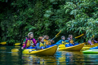 Lake Karapiro, avondkajakglowworm tour - Housity