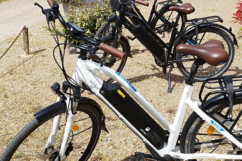 Chenonceau: giro guidato in ebike e pranzo al sacco con vino e formaggioDivertente tour in ebike a Chenonceau con degustazione di vini e formaggi