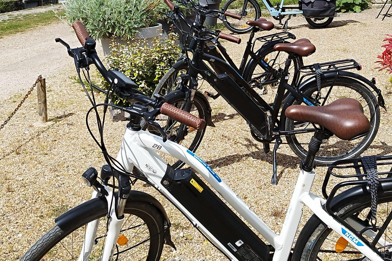 Chenonceau: giro guidato in ebike e pranzo al sacco con vino e formaggioDivertente tour in ebike a Chenonceau con degustazione di vini e formaggi