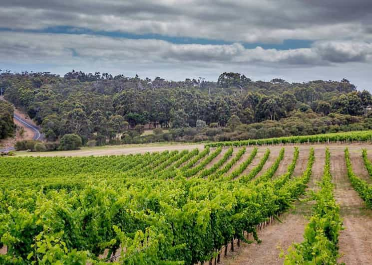 Margaret River: Wine, Coffee, Cheese, and Chocolate Tour | GetYourGuide