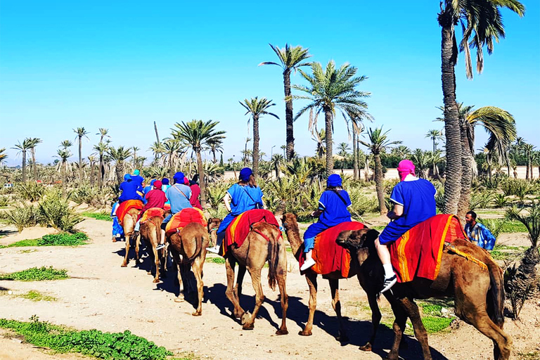 Marrakech: halve dagtour met buggyrit, kameelrit en spa