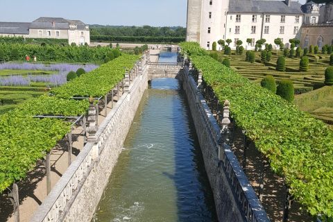 From Amboise: Villandry, Azay-le-Rideau & Wineries