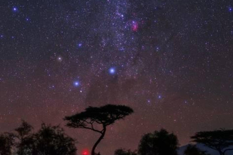 Chutes Victoria: observation des étoiles dans l'hémisphère sudVisite partagée