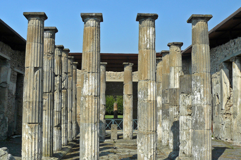 Pompeje Prywatny 4-godzinny rejs po Shore z Neapolu