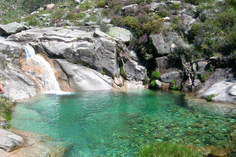 Porto: Excursão privada ao Parque Nacional do Gerês