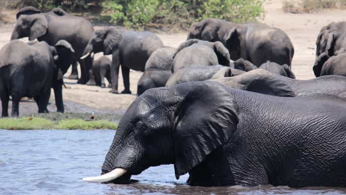 zimbabwe victoria falls fullday package