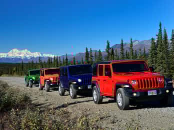 Denali: Highway Jeep Ausflug Denali: Highway Jeep Ausflug