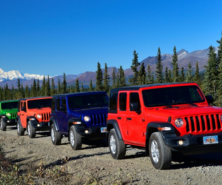 Denali: Highway Jeep Excursion