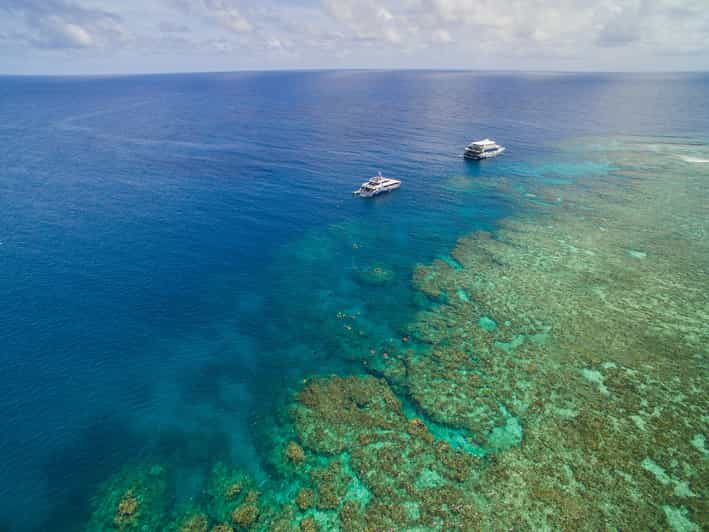 Cairns Great Barrier Reef Overnight Snorkeling Boat Trip GetYourGuide