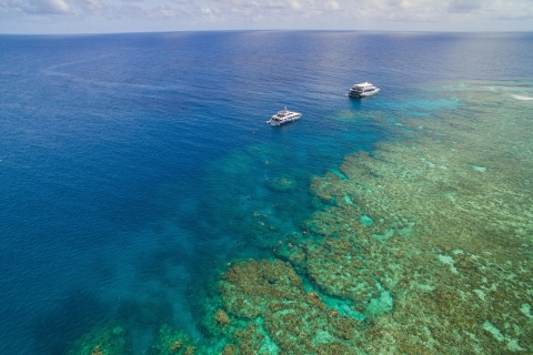 Great Barrier Reef Overnight Snorkel and Dive Trip 2 Days 1 Night - Snorkelling Only