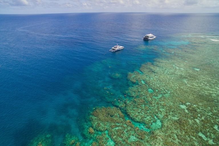 Snorkel- en duiktrip met overnachting in het Great Barrier Reef3 dagen en 2 nachten - alleen snorkelen