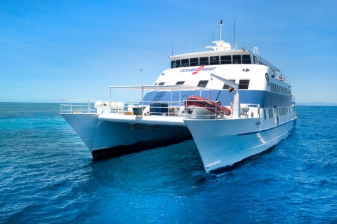 Great Barrier Reef Overnight Snorkel and Dive Trip 3 Days 2 Nights - Snorkelling Only