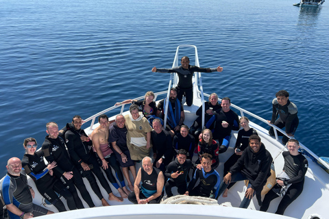 Sharm el-Sheikh: Ras Mohammed & White Island Dive & Snorkel Option 2: Certified Divers - Including Equipment