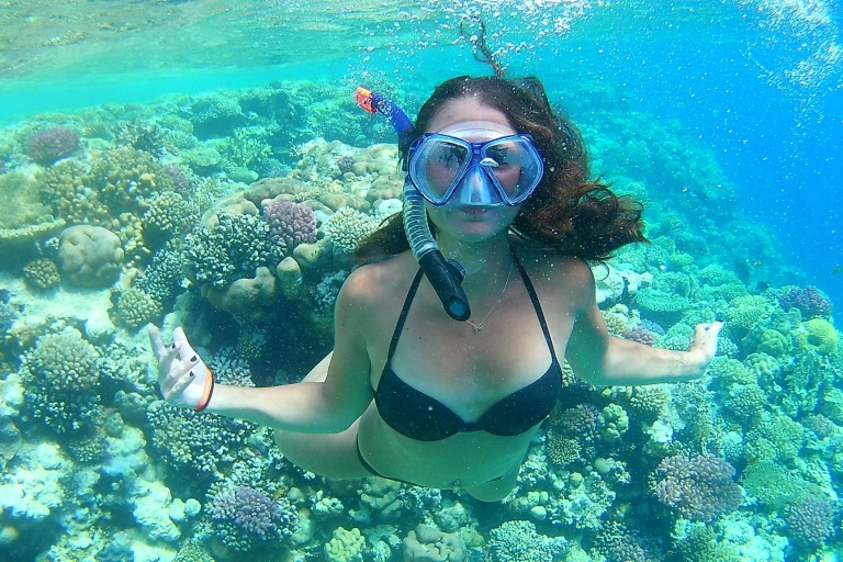 De Hurghada: Carnival Sharm El Arab Snorkeling Trip
