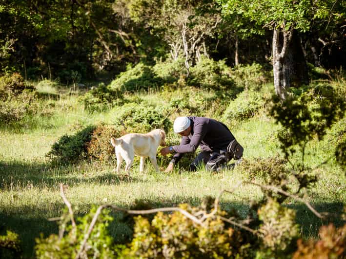 Meteora Truffle Hunting Experience with Lunch & Museum Visit GetYourGuide