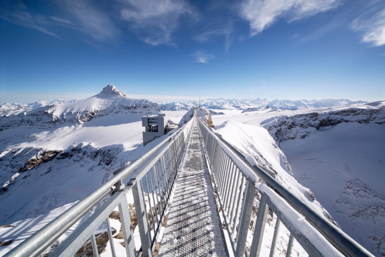 Ginebra: experiencia en Glacier 3000 y MontreuxSolo transporte