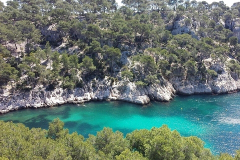 Marseille: Day Boat Ride in the Calanques with Wine Tasting