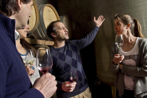 Avignon: Wine Tasting Tour