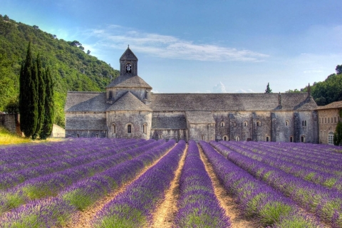 Lavendelfelder in der Provence: Private Tour