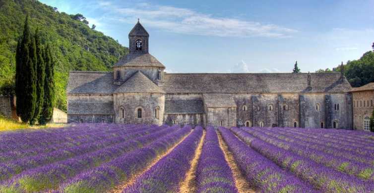 Özel Provence Lavanta Turu