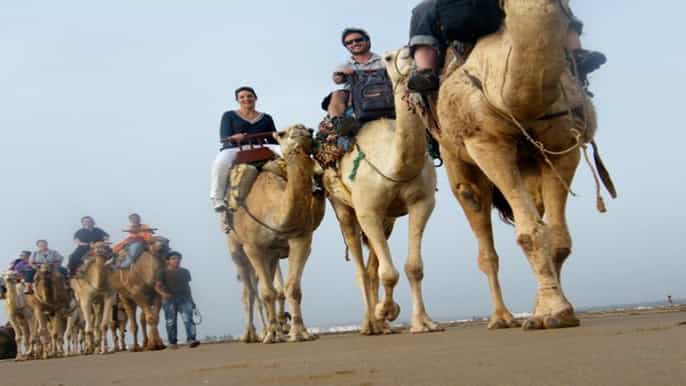 essaouira 2hour camel ride