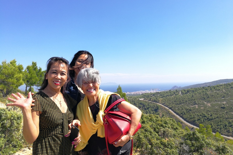 Ontdek Cassis: halve dagtour vanuit Marseille