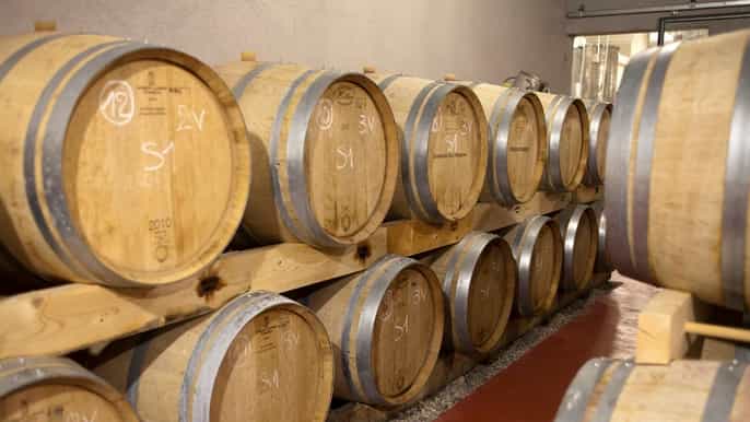 marseille vieux port wine tasting private tour