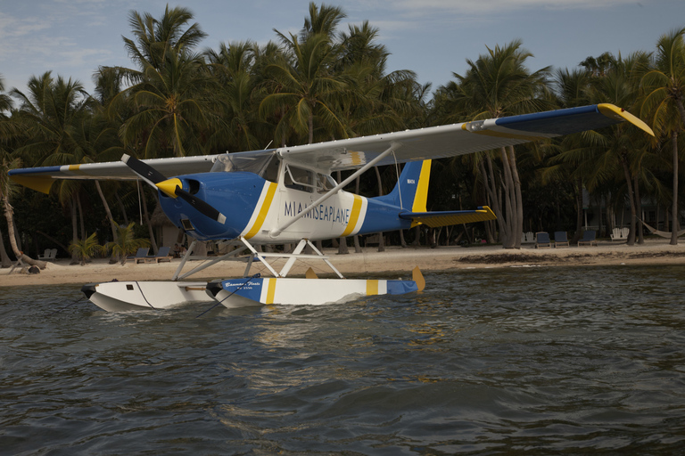 Excursión a South Beach en avión