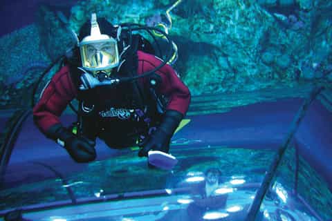 Aquarium du Quebec: Entry Ticket