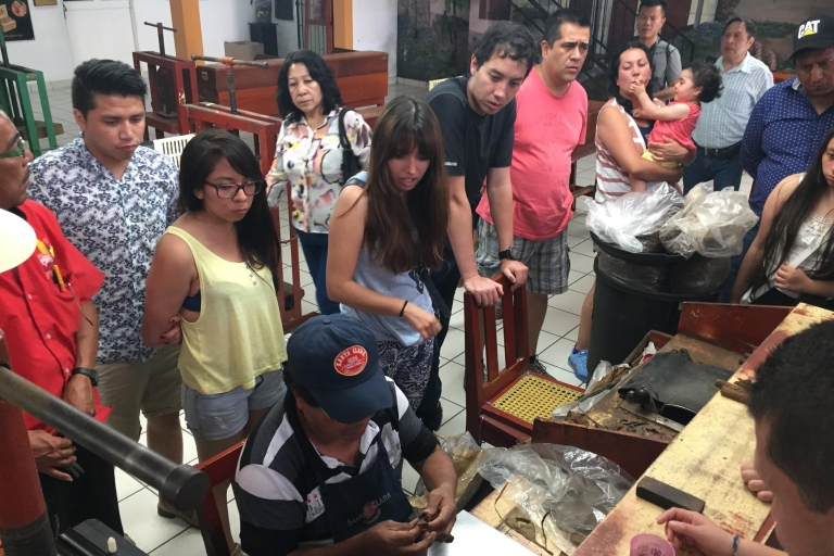 Desde Veracruz: tour de Catemaco y Los Tuxtlas con crucero