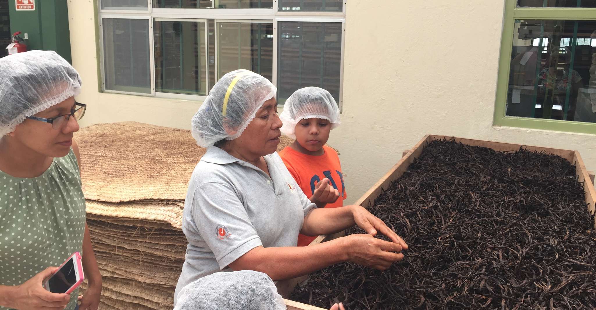 Da Veracruz, Tajin Day Trip con visita alla Fabbrica della Vaniglia - Hizvo