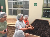 Von Veracruz, Tajin Tagesausflug mit Vanilla Factory Besuch - Hizvo