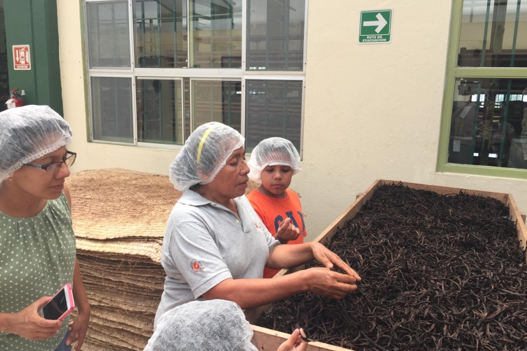 Au départ de Veracruz : Excursion d'une journée à Tajin avec visite de la fabrique de vanille