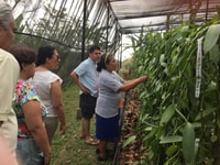 Von Veracruz, Tajin Tagesausflug mit Vanilla Factory Besuch - Hizvo