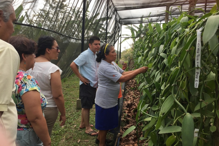 Au départ de Veracruz : Excursion d'une journée à Tajin avec visite de la fabrique de vanille